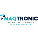 Naqtronic V2